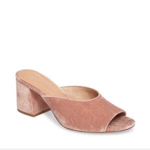 Madewell Velvet Mule Sandals